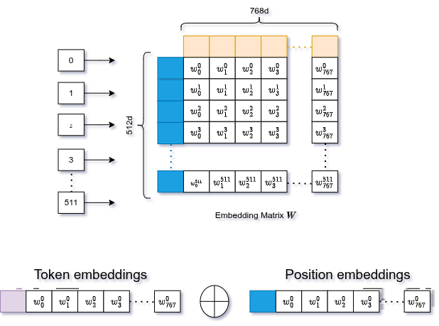 Positional embedding sommato al token embedding → LayerNorm + Dropout → input finale all'encoder