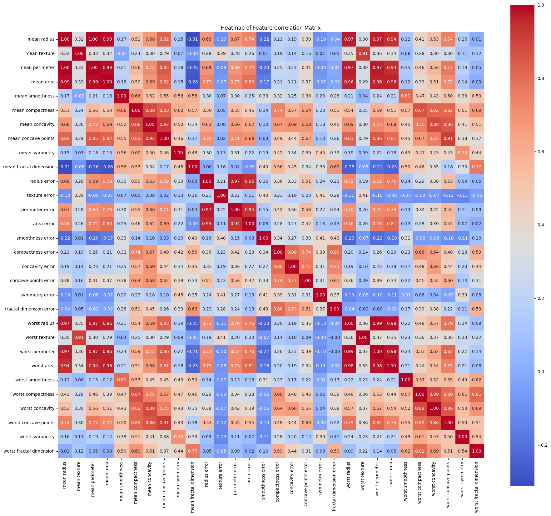 Feature correlation heatmap: some features are heavily correlated, e.g. radius, perimeter, and area are nearly identical